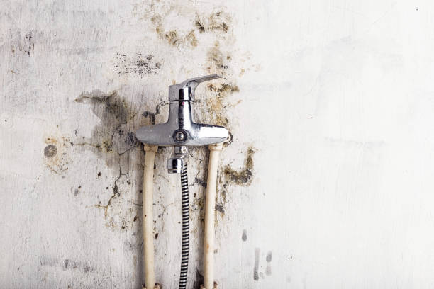 Best Residential Mold Removal  in Sugarland Run, VA