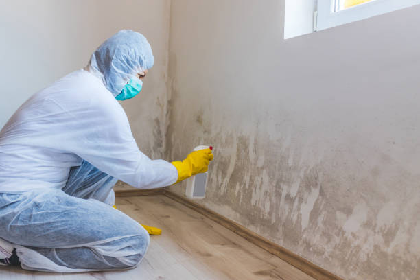 Crawl Space Mold Removal in Sugarland Run, VA