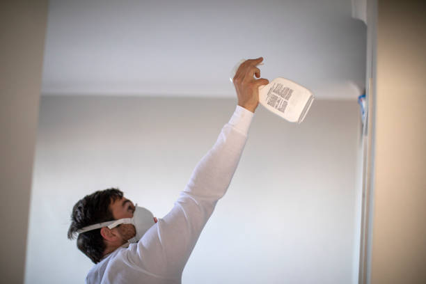 Best Black Mold Removal  in Sugarland Run, VA