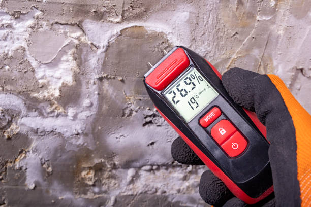 Best Mold Testing  in Sugarland Run, VA
