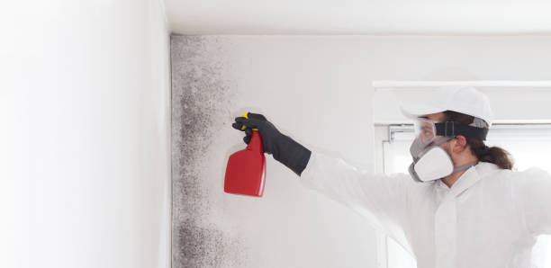 Best Commercial Mold Removal  in Sugarland Run, VA